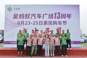 金蚂蚁汽车广场13届惠民购车节品牌展